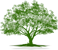 tree2 tree2