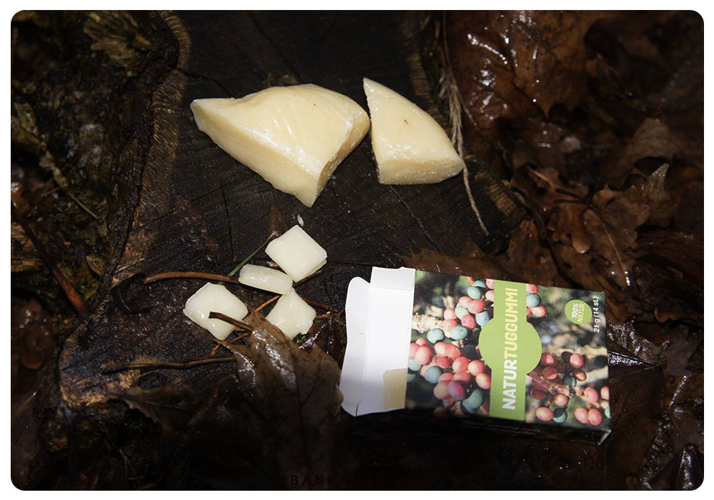 ناتور توگومی (NATUR TUGGUMMI)