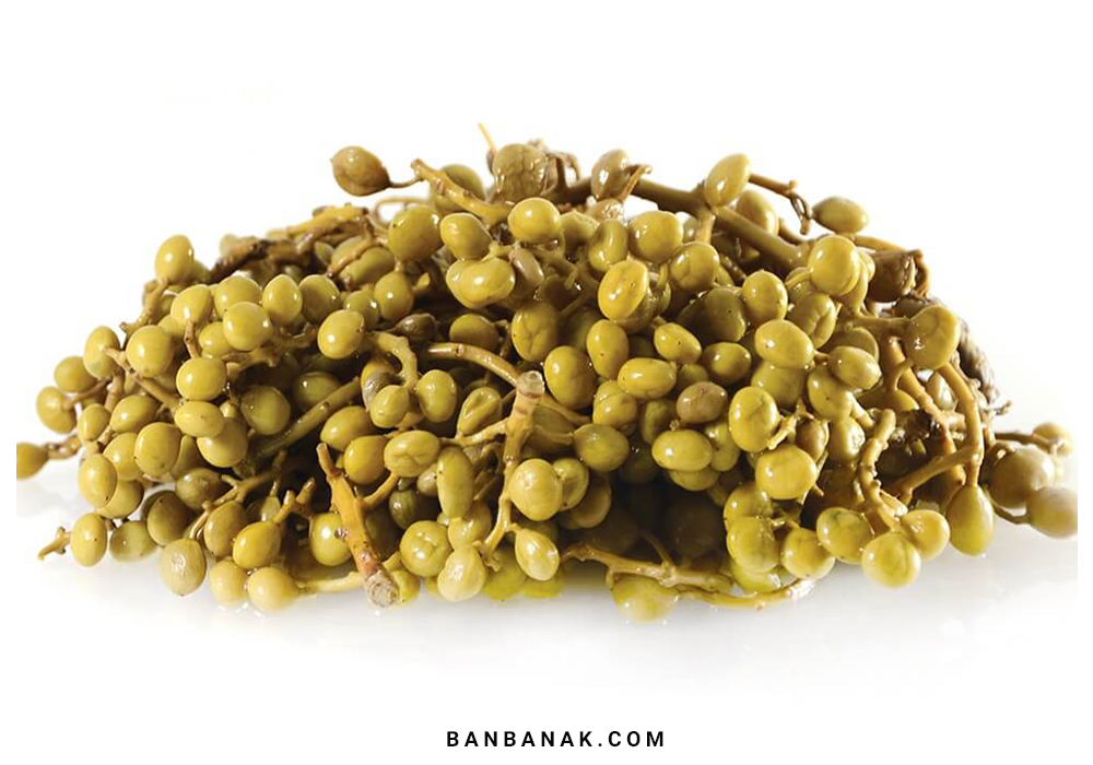 مصارف پسته کوهی